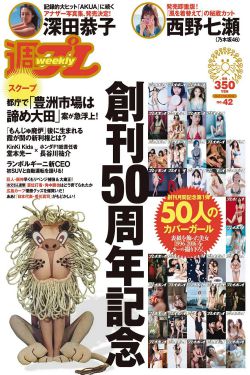 新少年包拯电视剧免费观看